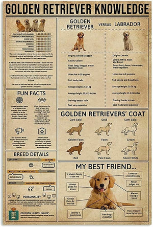 Golden Retriever Knowledge Poster, Canvas