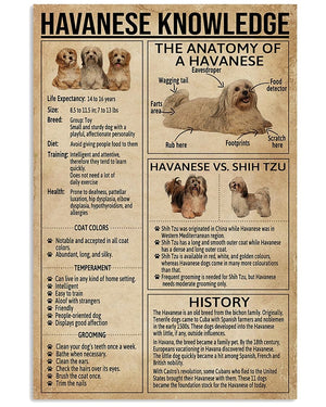 Havanese Knowledge Poster, Canvas