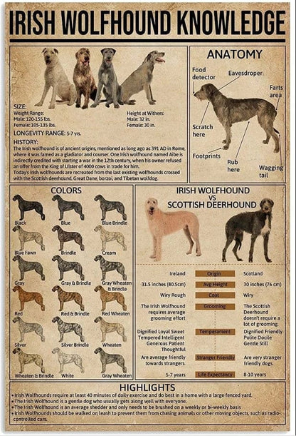 Póster de conocimientos sobre el perro lobo irlandés, lienzo