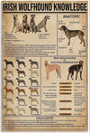 Irish Wolfhound Knowledge Poster, Canvas