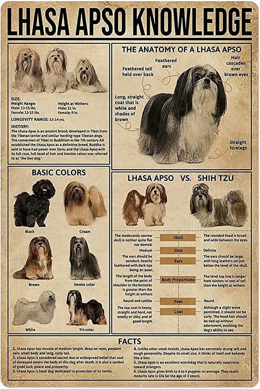 Póster de conocimiento de Lhasa Apso, lienzo