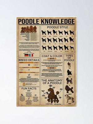 Poodle Knowledge Poster, Canvas