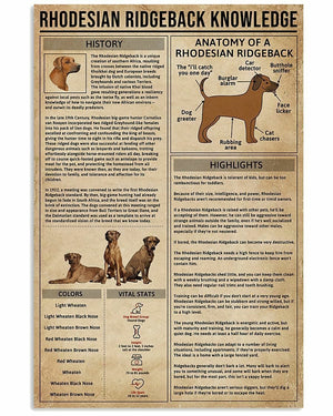 Póster de conocimientos sobre el perro Rhodesian Ridgeback, lienzo