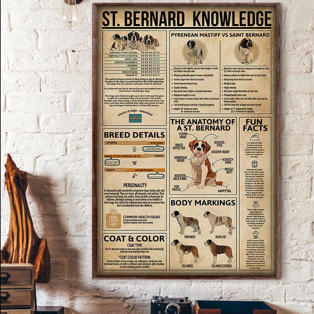 St Bernard Knowledge Dog Poster, Canvas