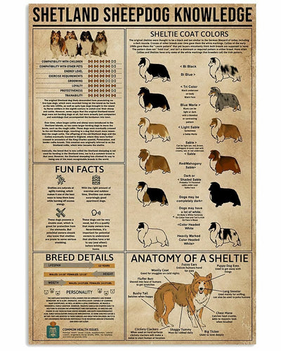 Shetland Sheepdog Knowledge Dog Poster, Canvas