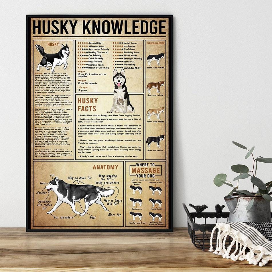 Husky Knowledge Siberian Husky Dog Poster, Canvas