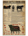 Angus Cattle Knowledge Cow Poster, Canvas