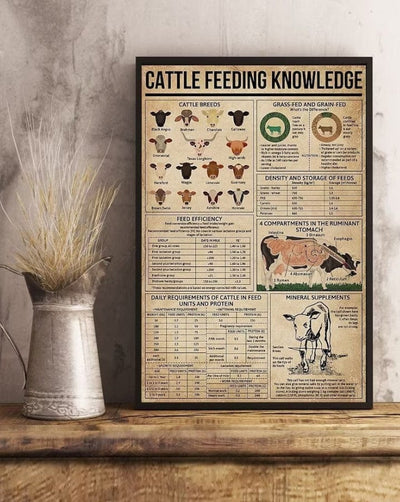 Cattle Feeding Knowledge Cow Poster, Canvas