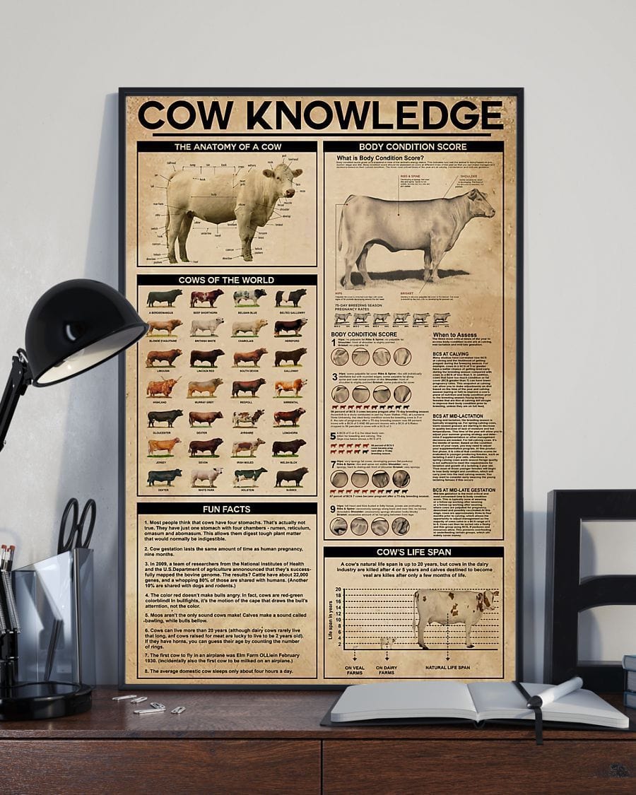 Cow Knowledge Poster, Canvas