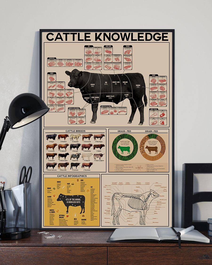 Cattle Knowledge Cow Poster, Canvas