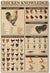 Póster, lienzo, razas de pollos del mundo, conocimiento sobre pollos