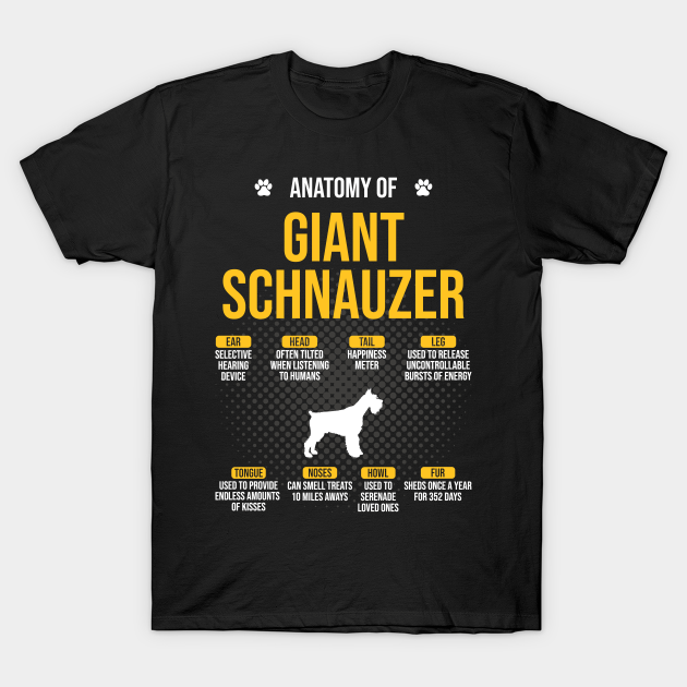 Camiseta divertida con la anatomía del schnauzer gigante