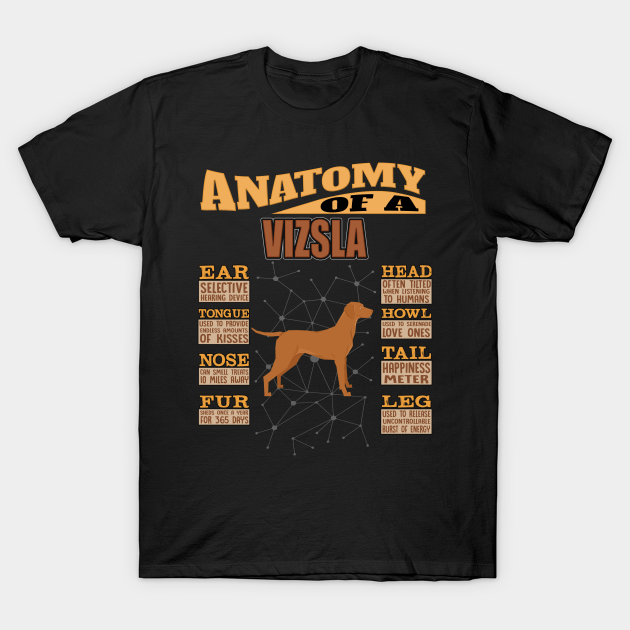 Anatomía de una camisa de Vizsla