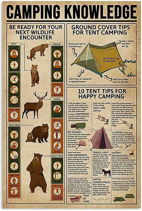 Póster de conocimientos sobre acampada, lienzo