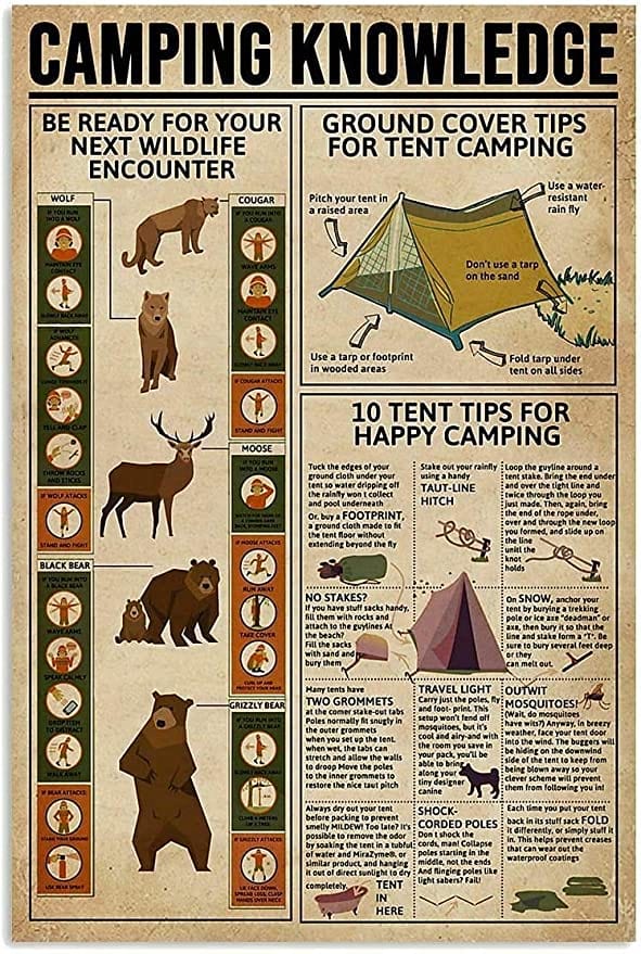 Camping Knowledge Poster, Canvas