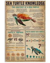 Sea Turtle Knowledge Poster, Canvas