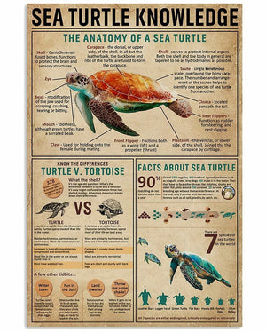 Póster de conocimiento sobre las tortugas marinas, lienzo