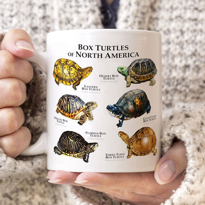 Box Turtles Turtle Mugs, Cup Turtle200422