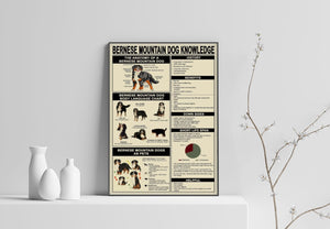 Bernese Mountain Dog Knowledge Poster, Canvas