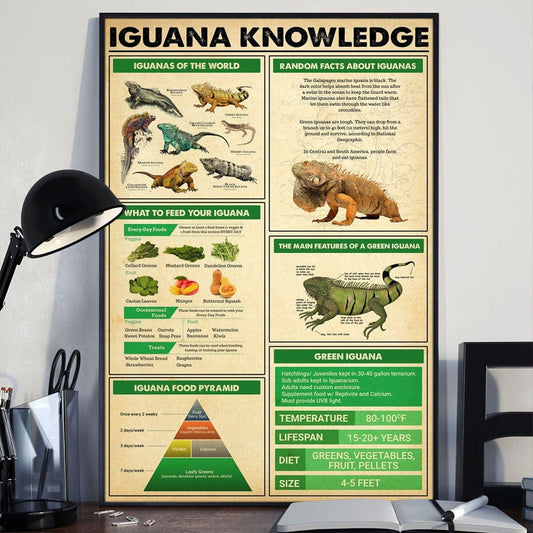 Póster de conocimiento sobre la iguana, lienzo