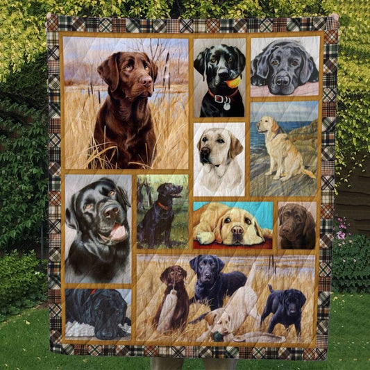 Manta polar y sherpa para labrador retriever de Big Lots