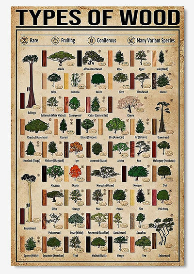 Types Of Wood Carpenter Knowledge Poster, Canvas
