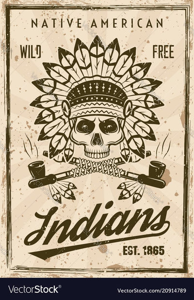 Native American Poster, Canvas