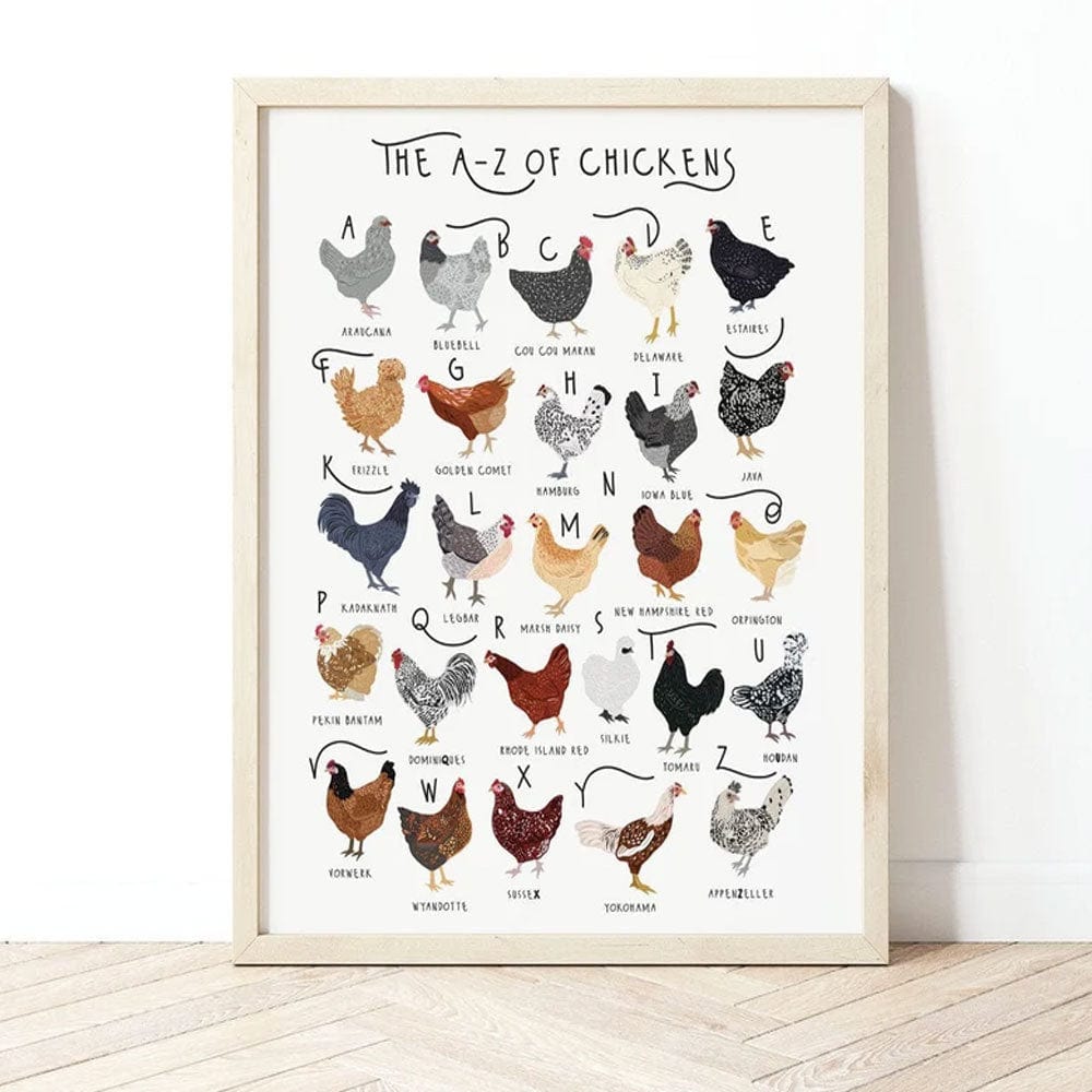 Póster de la A a la Z del pollo, lienzo
