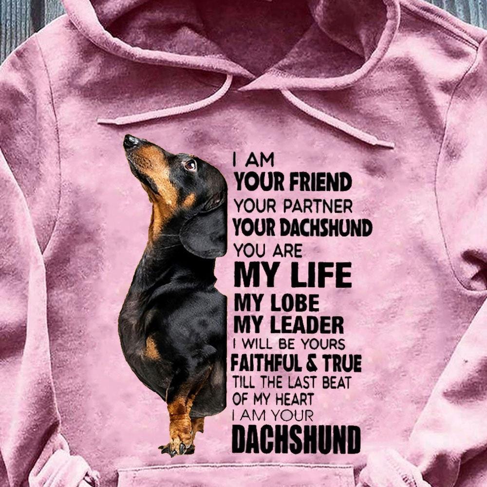 Soy tu amigo, tu compañero, camisetas de Dachshund