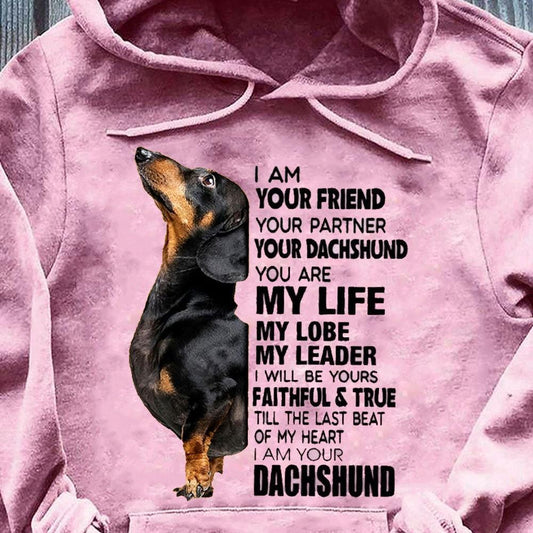 Soy tu amigo, tu compañero, camisetas de Dachshund