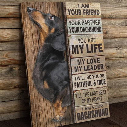 Soy tu amigo, tu compañero, tu perro salchicha Póster, Lienzo