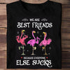 We Are Best Friends Because Everyone Else Sucks Flamingo Shirts