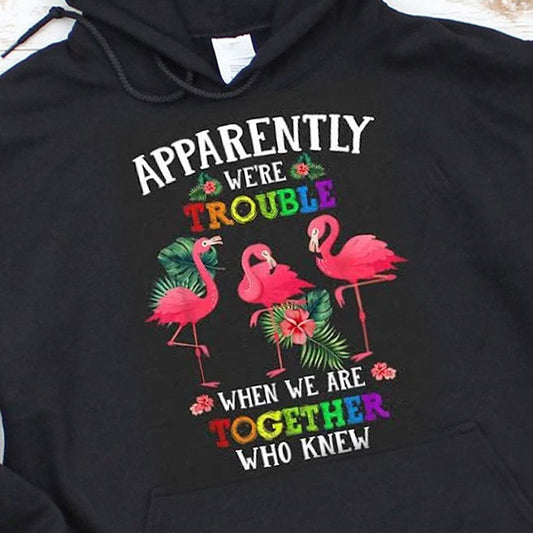 Al parecer somos problemas cuando estamos juntos Quién lo diría, camisetas de flamencos