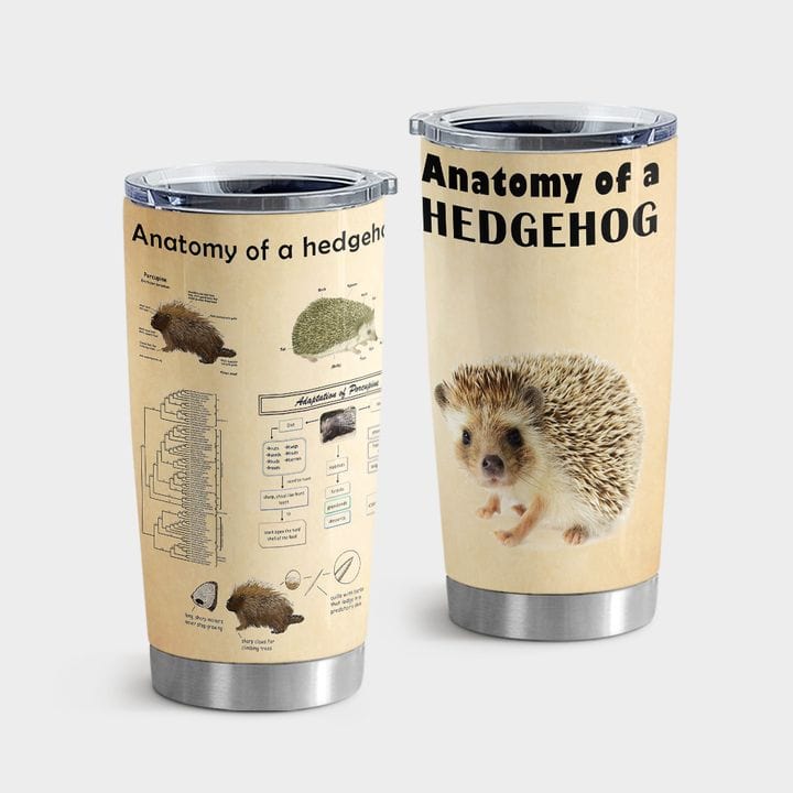 Anatomy Of Hedgehog Tumbler