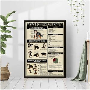 Bernese Mountain Dog Knowledge Poster, Canvas