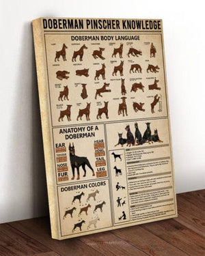 Doberman Pinscher Knowledge Poster, Canvas