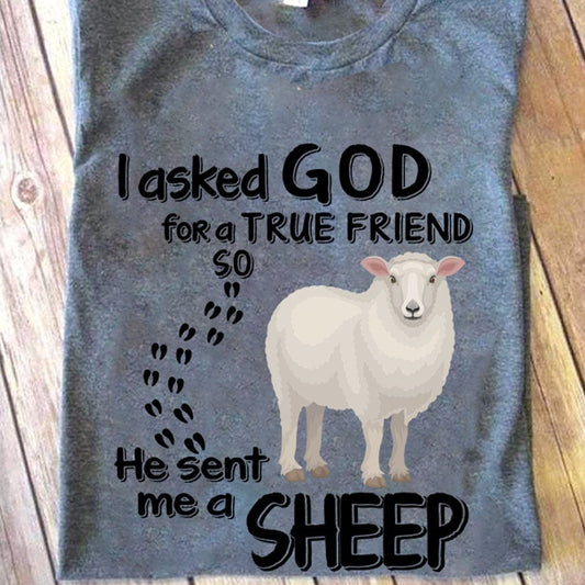 Le pedí a Dios un verdadero amigo y me envió una camiseta de oveja