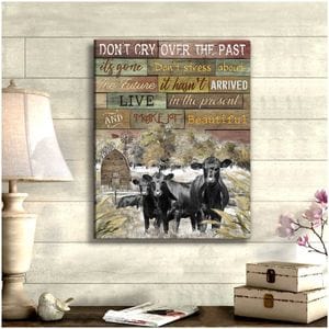 Don't Cry Over The Past Black Angus Cows Poster, Canvas